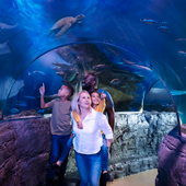 SEA LIFE Aquarium