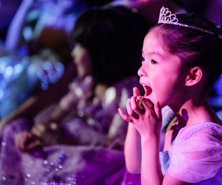 Elsa’s Ice Palace