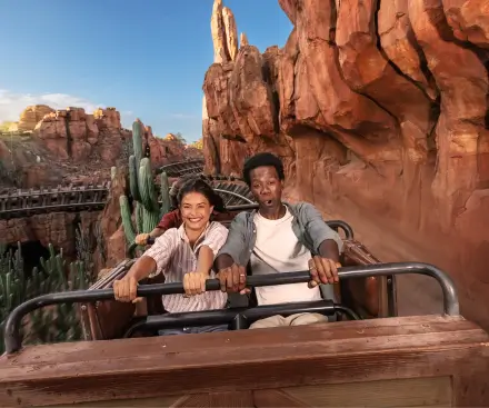 Disney Experience
