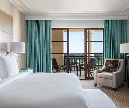 Park View Suite