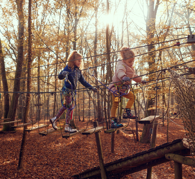 Descripción general