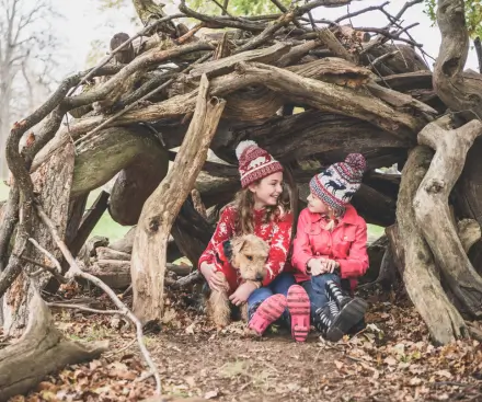 Dog-Friendly Accommodation