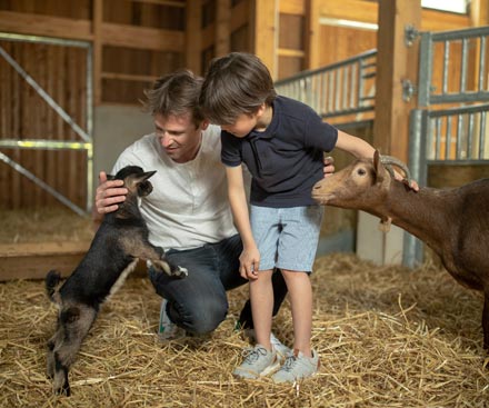 20 de octubre de 2026