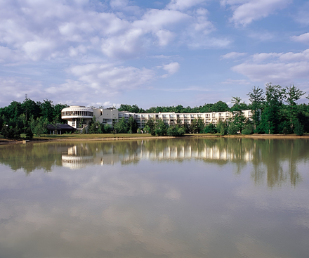 Descripción general