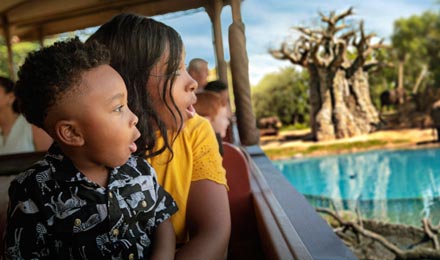 Huéspedes con necesidades especiales