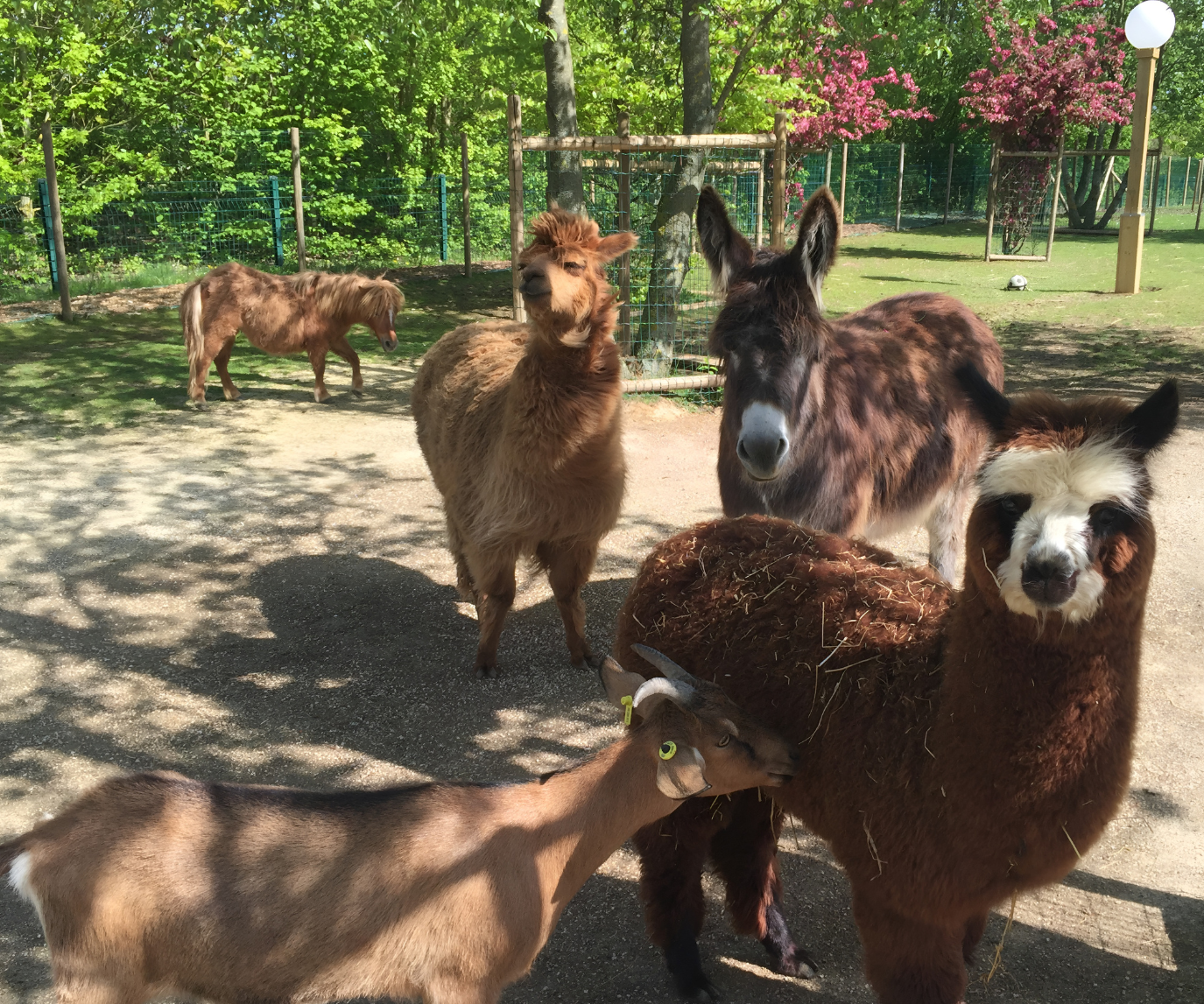 24 de agosto de 2026