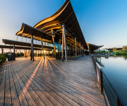 Descripción general