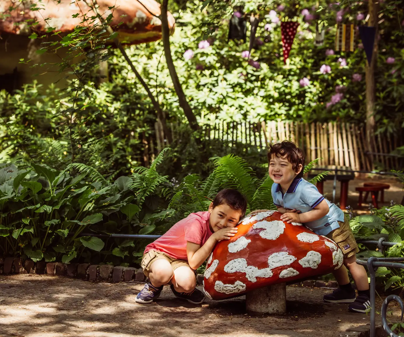 24 de noviembre de 2026