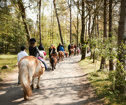 24 de agosto de 2026