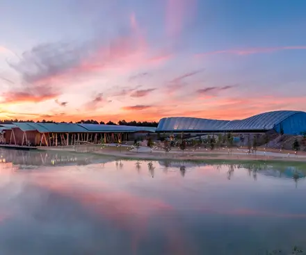 Descripción general