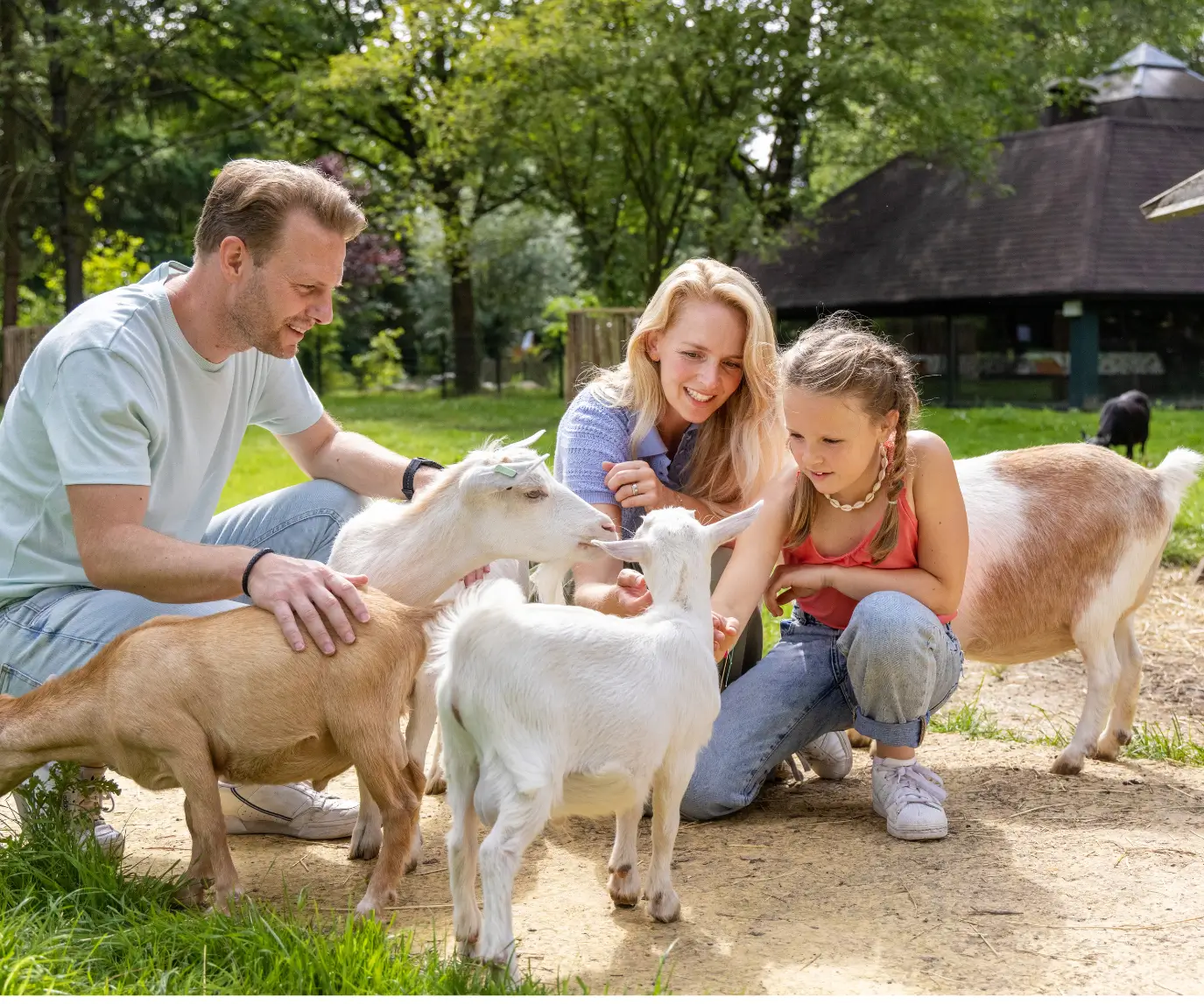 17 de agosto de 2026