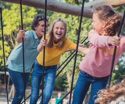 Preguntas frecuentes