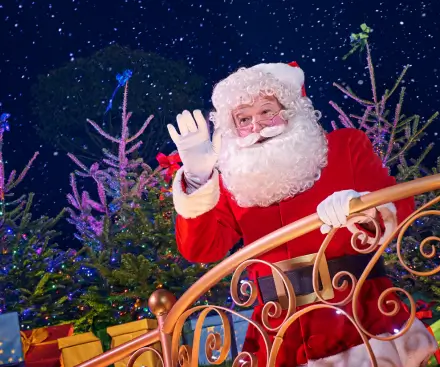 Explore Disney Enchanted Christmas 