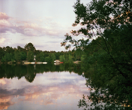 Descripción general