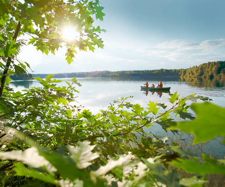 Descripción general