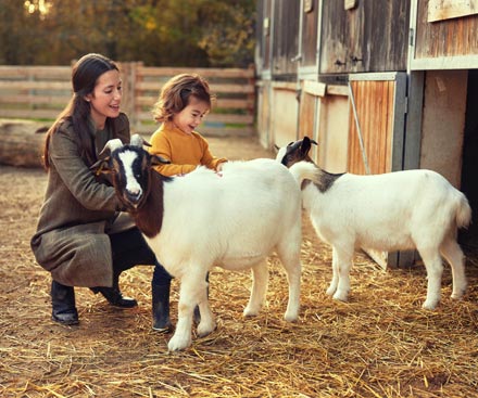 28 de agosto de 2026 - ¡Vacaciones de verano!