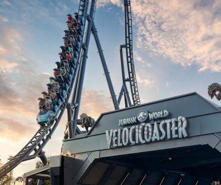 Guests with Special Dietary Needs