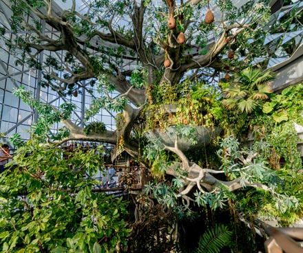 Sugar Glider Encounter