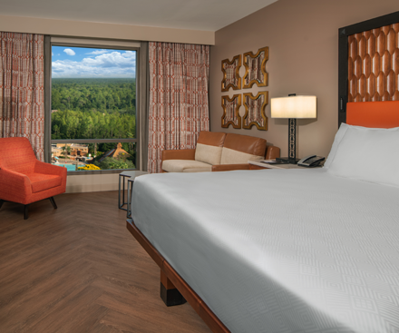 Water View King Bed Room