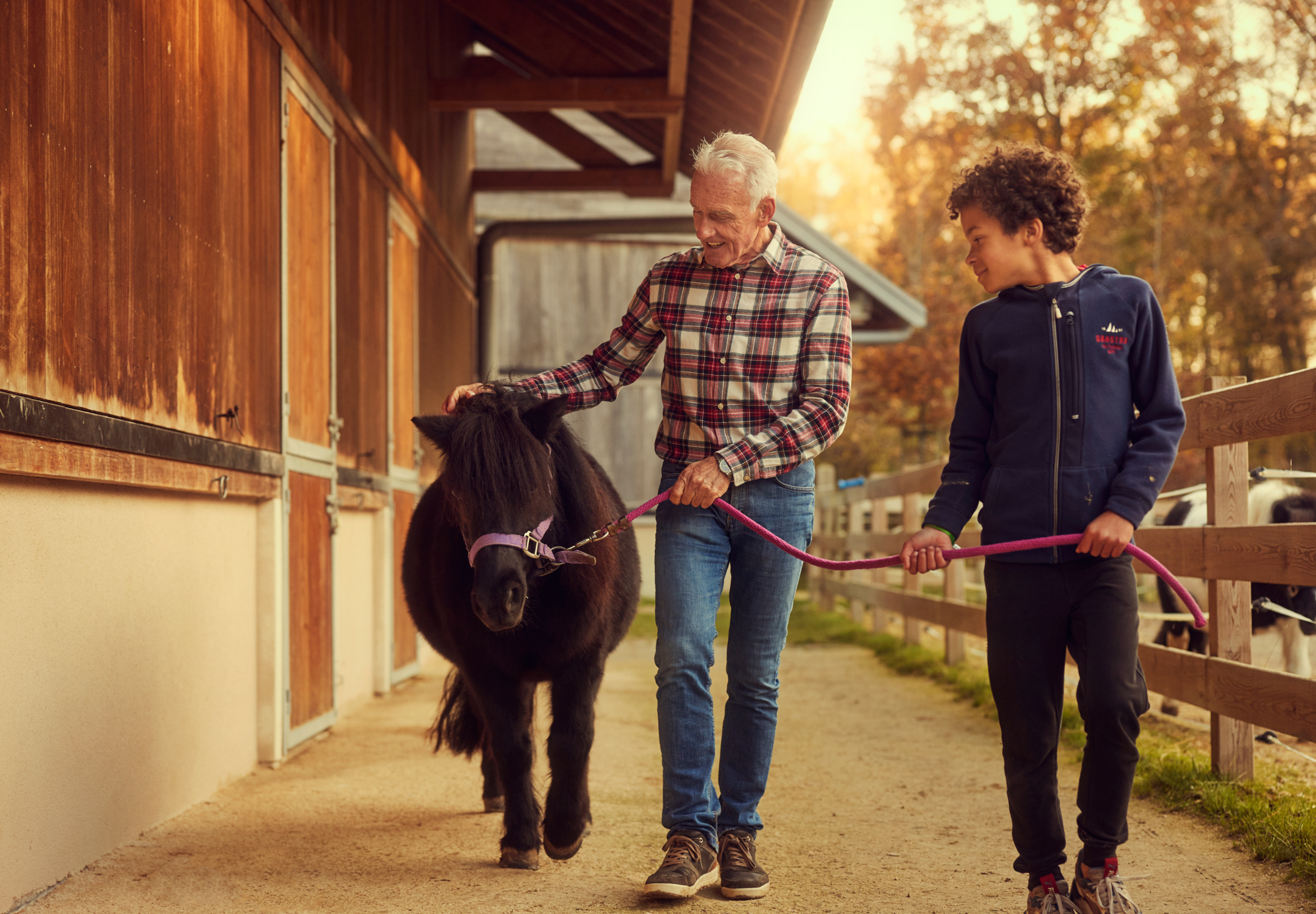 MagicBreaks Early Bird Discount carousel banner