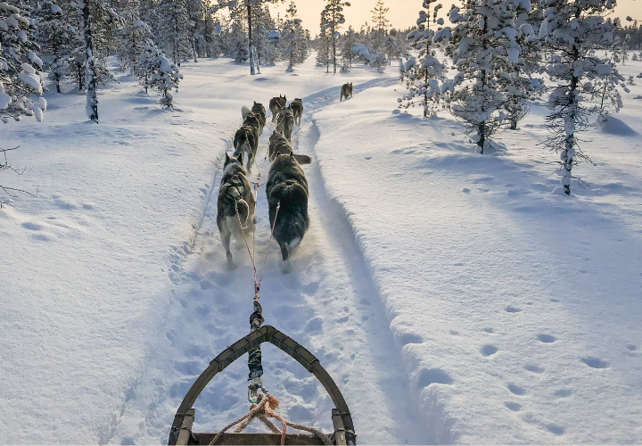 MagicBreaks 2027 Lapland Breaks carousel banner