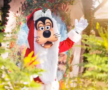 Feliz encuentro y saludo