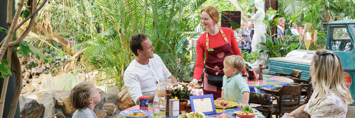 MagicBreaks Dining carousel banner
