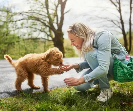 Pets Go FREE at Center Parcs Europe