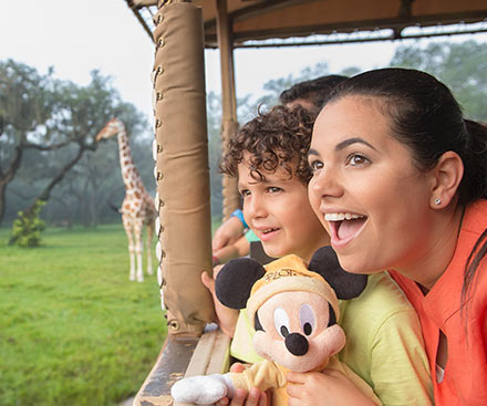 Disney's Animal Kingdom Theme Park