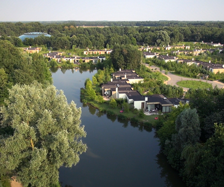 Descripción general