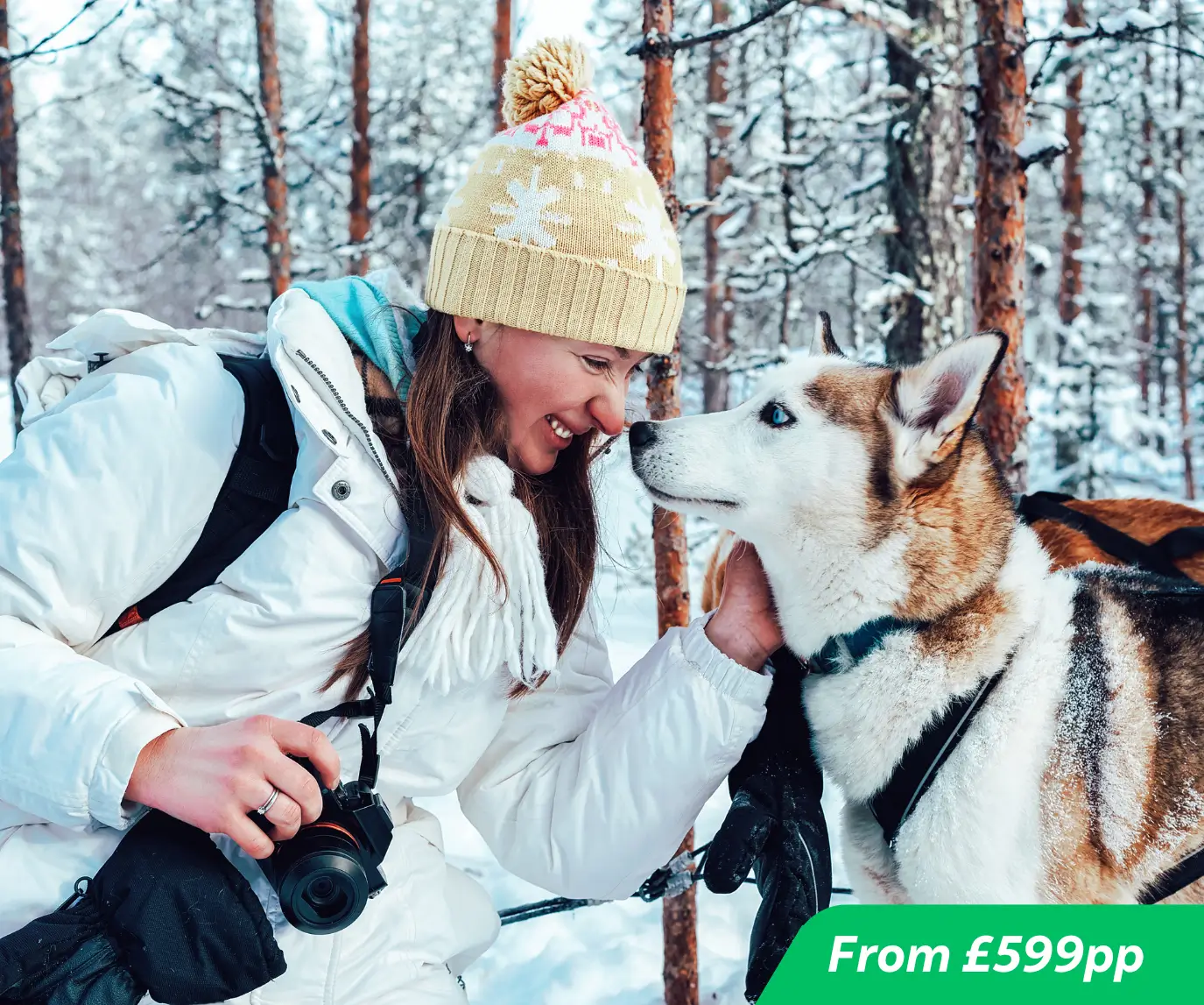 Excursiones de un día a Laponia en 2026