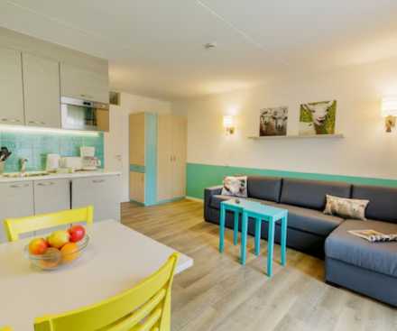 1-Bedroom Comfort Apartment (Sleeps 4)