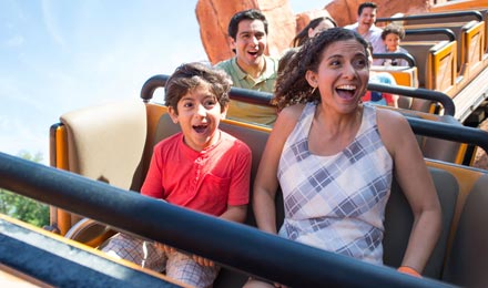 Universal Orlando & Walt Disney World Combo