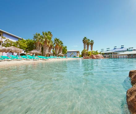 Descripción general