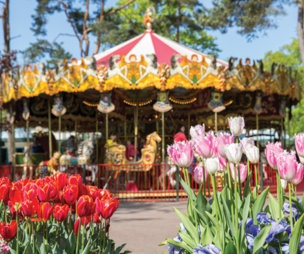 29 de agosto de 2026 - ¡Vacaciones de verano!
