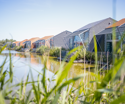 Descripción general