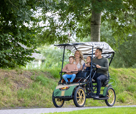 Opciones de transporte