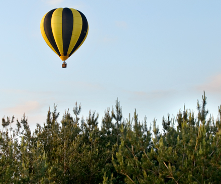 Hot Air Balloon Flight