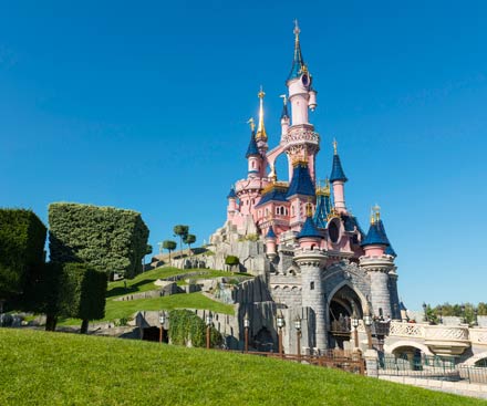 Preguntas sobre el parque