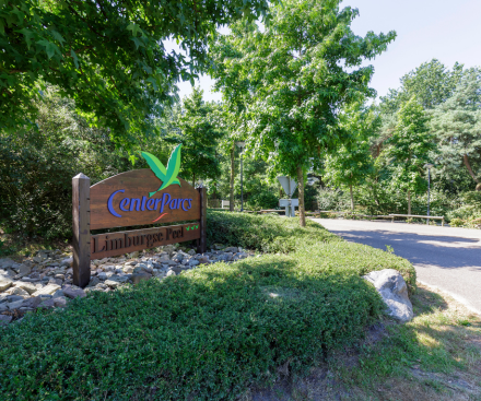 26 de octubre de 2026 - ¡Vacaciones de mitad de trimestre!