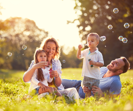 Descripción general