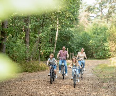 16th February 2026 - Half Term!