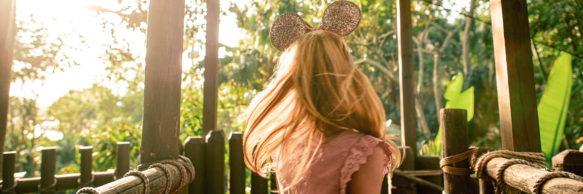 MagicBreaks Adventureland carousel banner