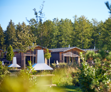 Descripción general