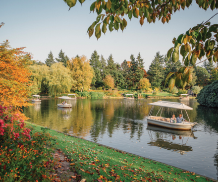 4 de septiembre de 2026