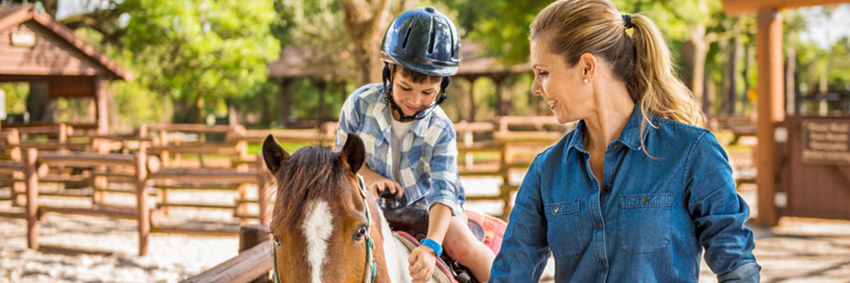 MagicBreaks main banner image carousel banner