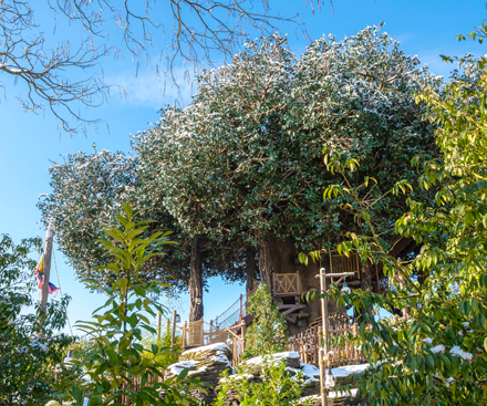 Puesto de avanzada de pizza del coronel Hathi