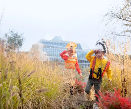 18 de septiembre de 2026