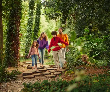 Descripción general