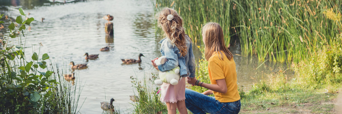 MagicBreaks bosrijk faq carousel banner